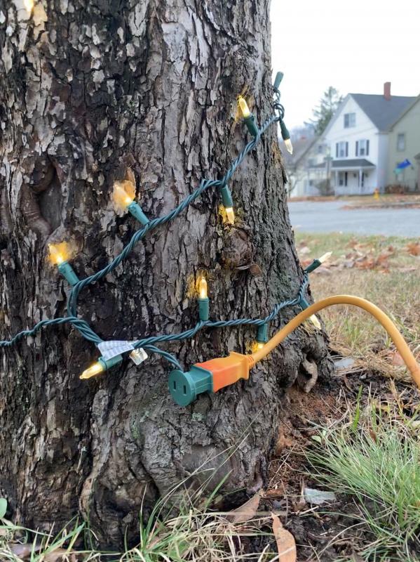 The holiday lights have come on in Wiscasset village. SUSAN JOHNS/Wiscasset Newspaper