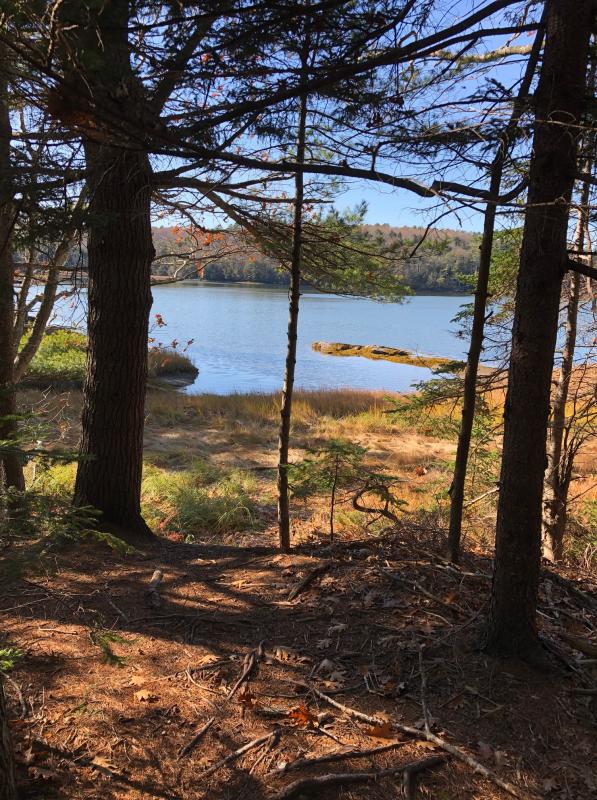 A water view at Cross River Preserve. CRAIG LANCASTER/Boothbay Register Cross-River Preserve, Boothbay Region Land Trust