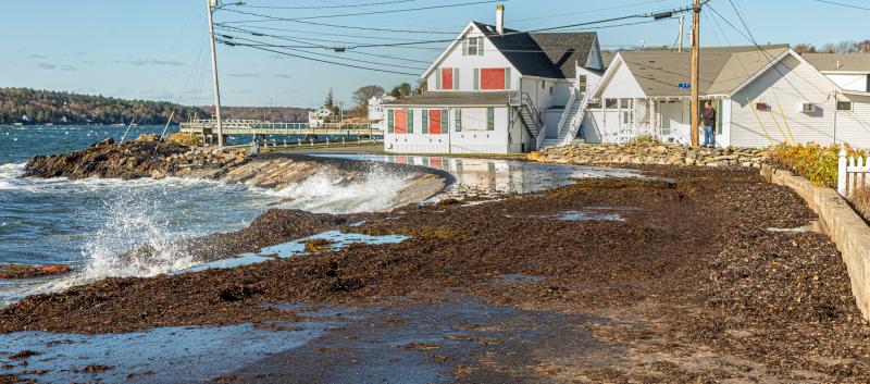 A usual site during storms at Ocean Point — seaweed on the road near Ocean Point Inn. Mike Leonard photo