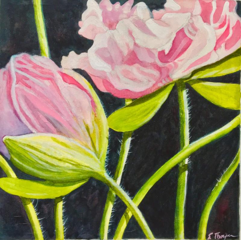 “Pink Poppy.” Watercolor by Suzi Thayer of Edgecomb, Maine. Courtesy of the artist Suzi Thayer