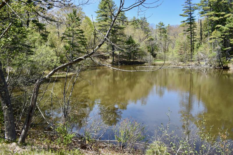 Looking across Holbrook’s Pond from Route 1. PHIL DI VECE/Wiscasset Newspaper