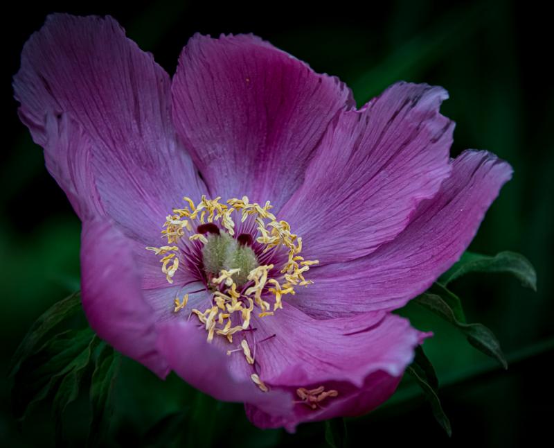 Martin Grassie photo
