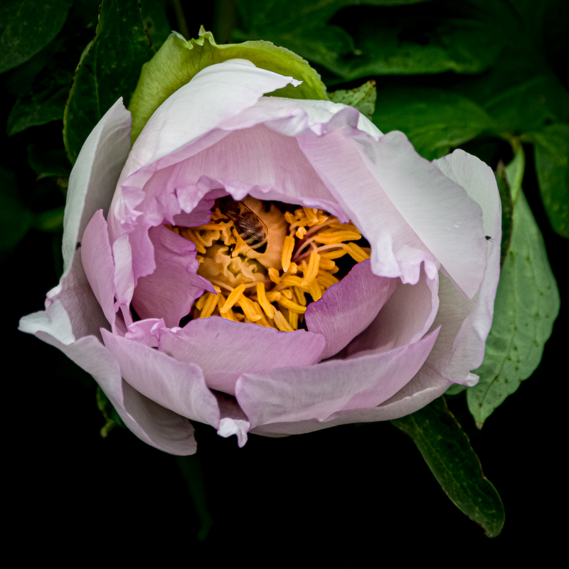 Martin Grassie photo