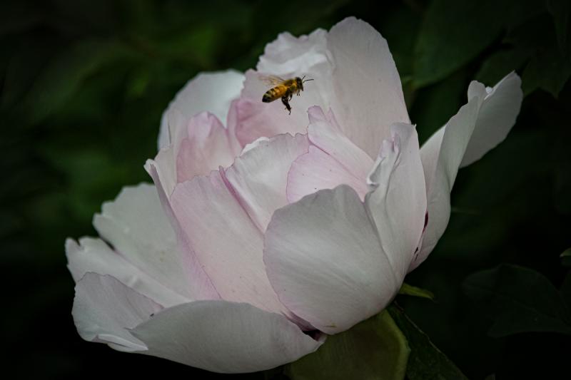 Martin Grassie photo