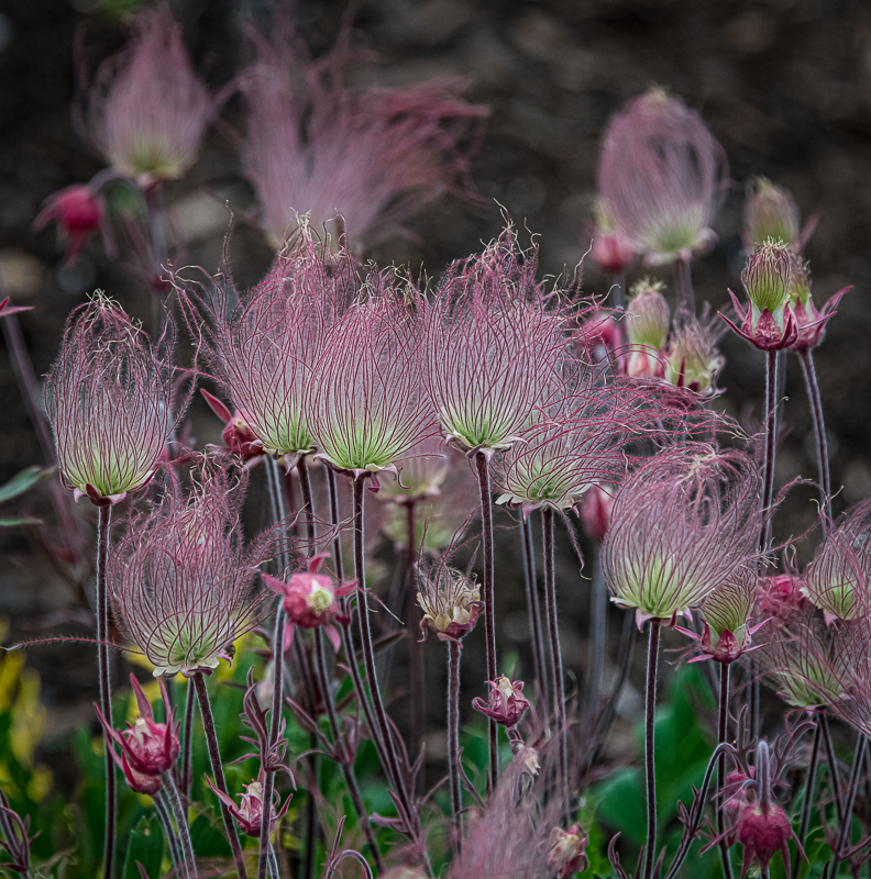 Martin Grassie photo