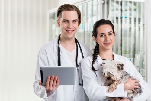 We are proud to offer Pet Care including supplies, medications, and compounding. https://www.nathanspharmacy.com/