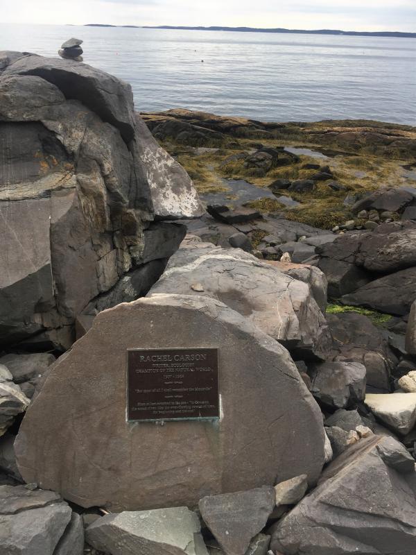 A place I had never been to ... the Rachel Carson memorial in front of the author-environmentalist’s favorite view. LISA KRISTOFF/Boothbay Register