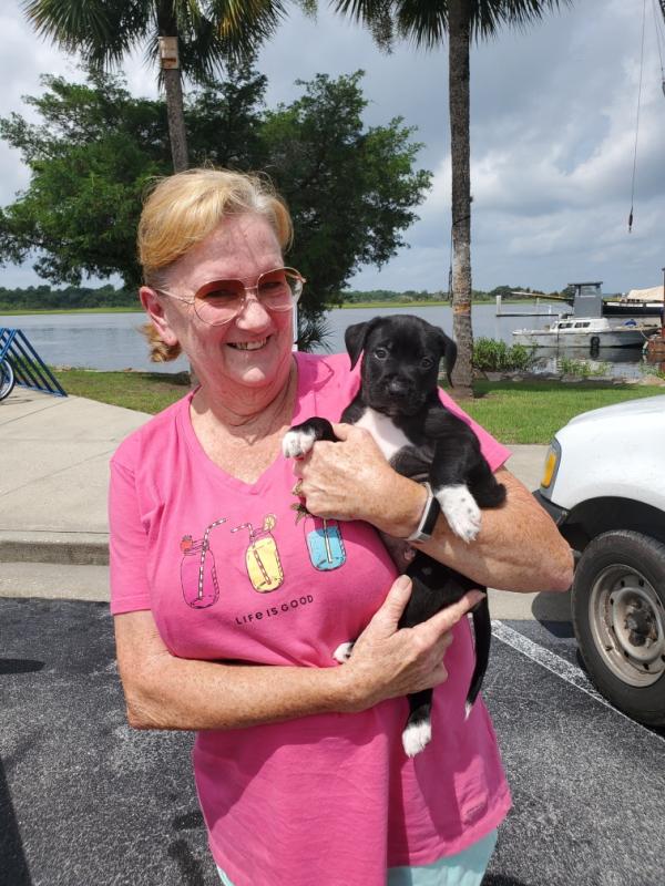 Gimbel’s friend Virginia Pearson of Grateful Golden Retrievers of the Low Country poses with Casey. Courtesy photo