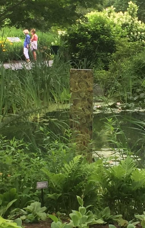 “Quiet: TurtlePond” – a dye-sublimation print on aluminum, by Meg Brown Payson at Coastal Maine Botanical Gardens. LISA KRISTOFF/Boothbay Register