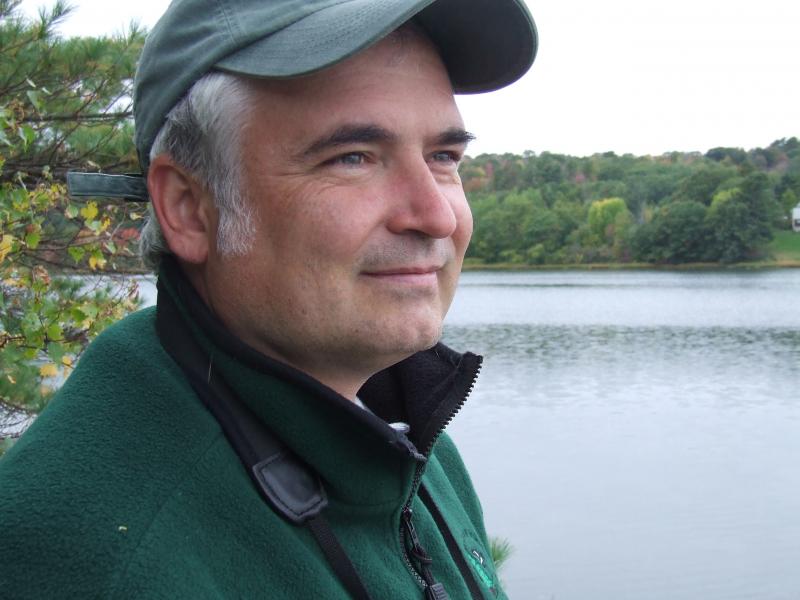 Climate change and the decline of birds: What can be done? - Boothbay Register