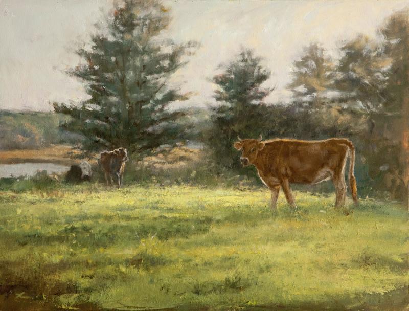 “Summer Morning in the pasture,” a 12” x 16” oil on panel by Ann Scanlan. Courtesy of the artist Ann Scanlan