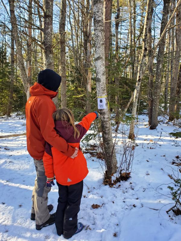 During the month of February BRLT is offering a self-guided Winter Tree ID hike at Cross River Preserve. Courtesy of BRLT