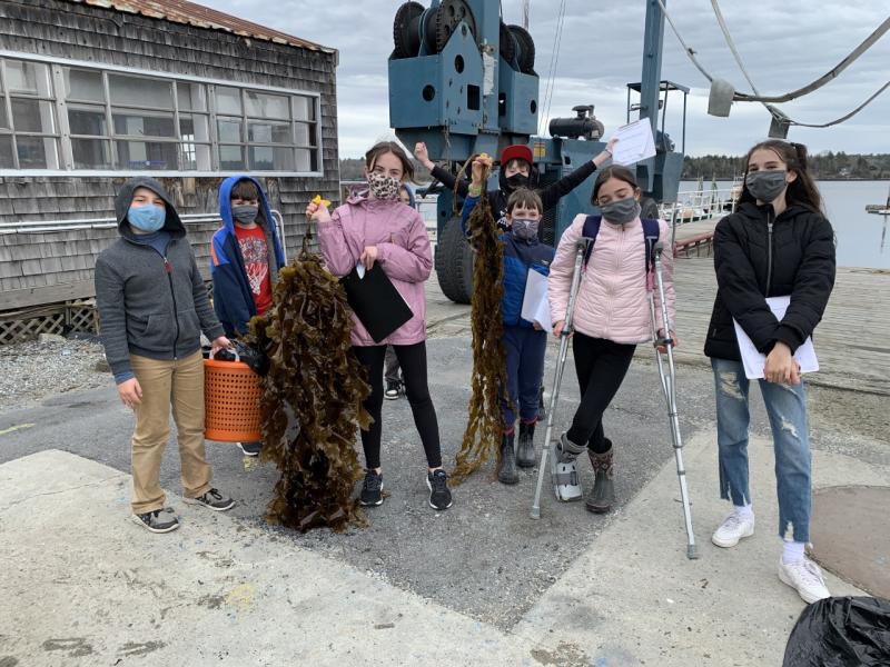 Julie Browne’s Edgecomb Eddy School science class was one of seven midcoast schools which participated in the “Exploring the Science of Seaweed Farming Harvest” science program sponsored by Boothbay Sea and Science Center. BILL PEARSON/Boothbay Register