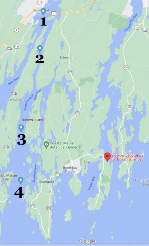 The locations of the four stations are shown in bold black numbers. Station 1 is upriver in Wiscasset, heading down river is Station 2 in the Narrows, Station 3 in the Gut, and Station 4 is off Southport island. Google Maps