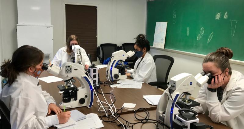Eye-counting and identifying the various phytoplankton with Laura Lubelczyk, a research assistant in phytoplankton. Courtesy of Laura Lubelczyk