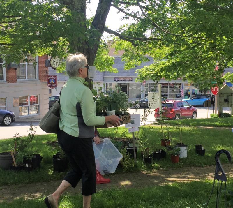There’s some serious planting in this gardener’s very near future. LISA KRISTOFF/Boothbay Register