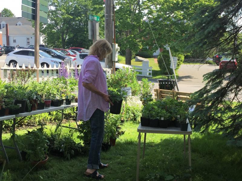 Hmmmm ... should I get this one, that one, or both? LISA KRISTOFF/Boothbay Register