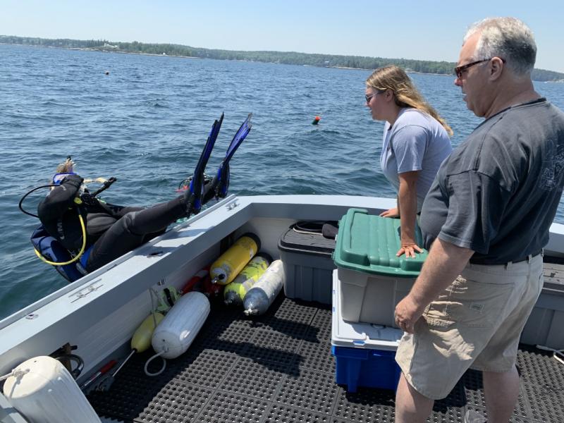 OceansWide founder and president Campbell “Buzz” Scott and assistant Celia Philbrick watch diver Elizabeth Foretek enter Townsend Gut to search for lost steel lobster traps. BILL PEARSON/Boothbay Register
