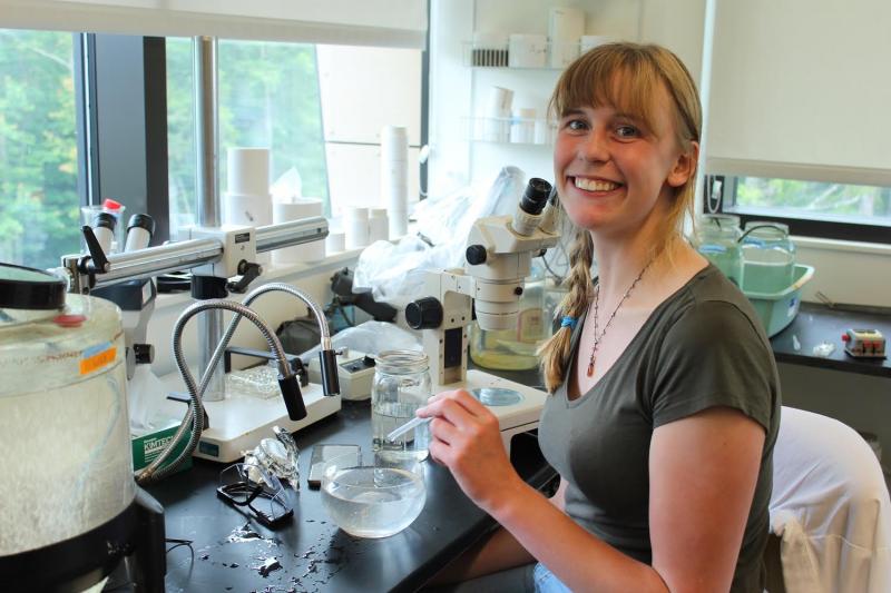 Elizabeth Westbrook conducts research in the lab. Courtesy of Bigelow Laboratory