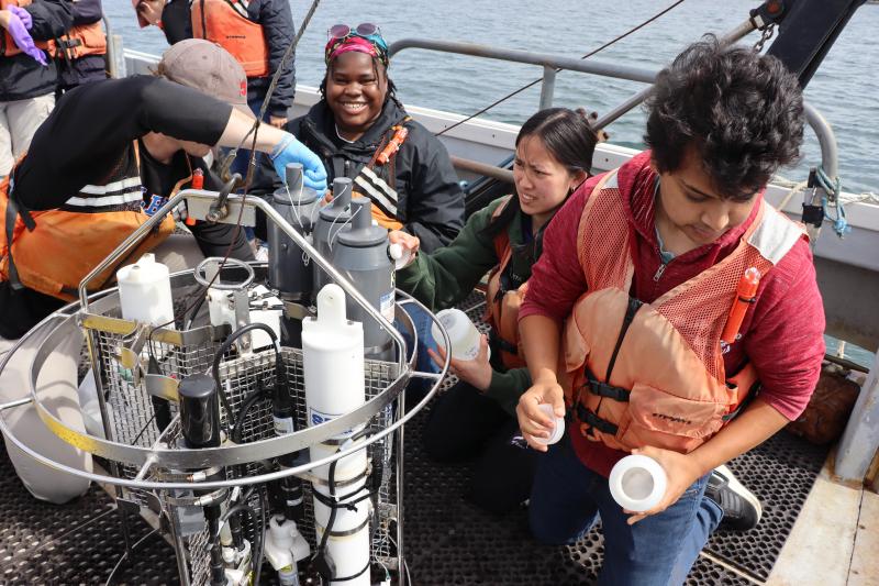 Undergraduates on a cruise collect samples. Courtesy of Bigelow Laboratory