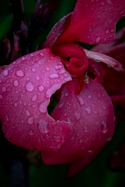 Martin Grassie photo