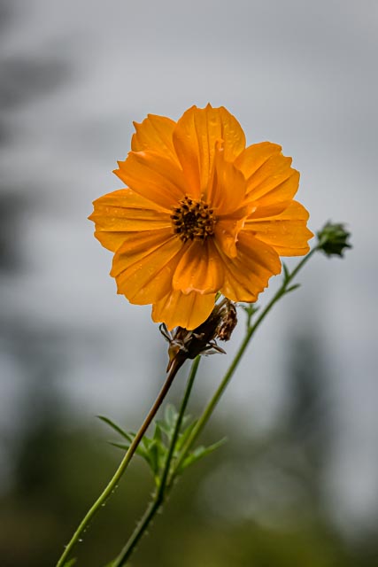 Martin Grassie photo