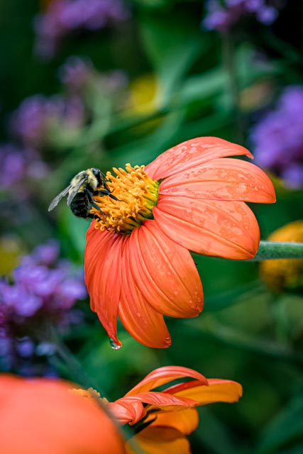 Martin Grassie photo