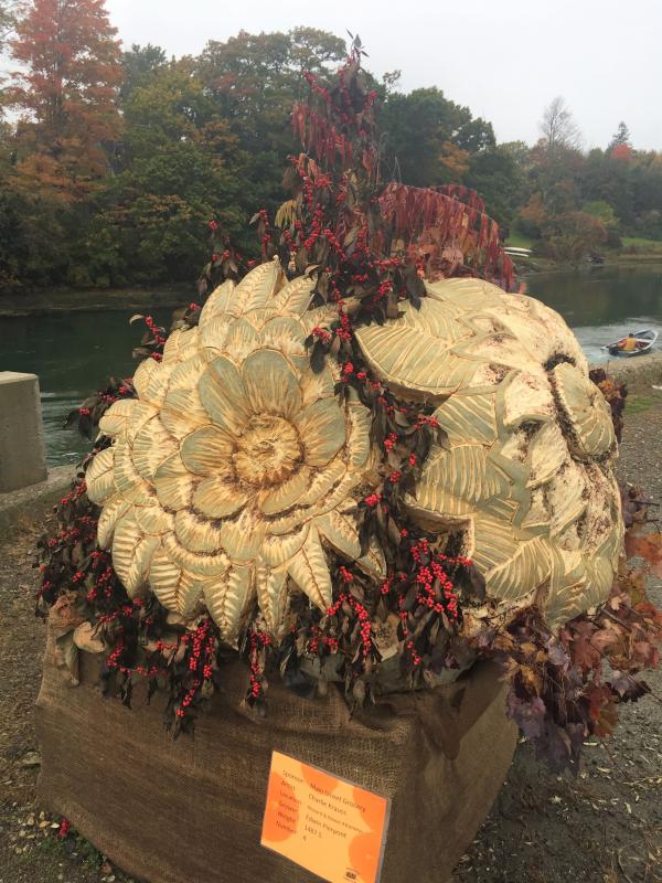This gorgeous Christmas pumpkin was carved by artist Charlie Krauss. LISA KRISTOFF/Boothbay Register