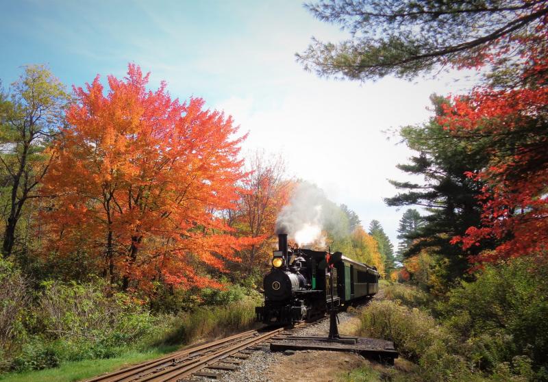 WW&F and SeaLyon Farm’s Halloween Train and Treat event is coming up. Got tickets? Courtesy photo