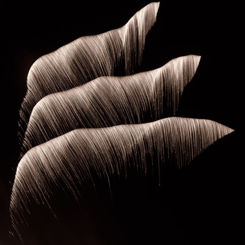 Jim Nickelson uses the light and motion to echo the geometry of nature. Courtesy of Maine Art Gallery Jim Nickelson