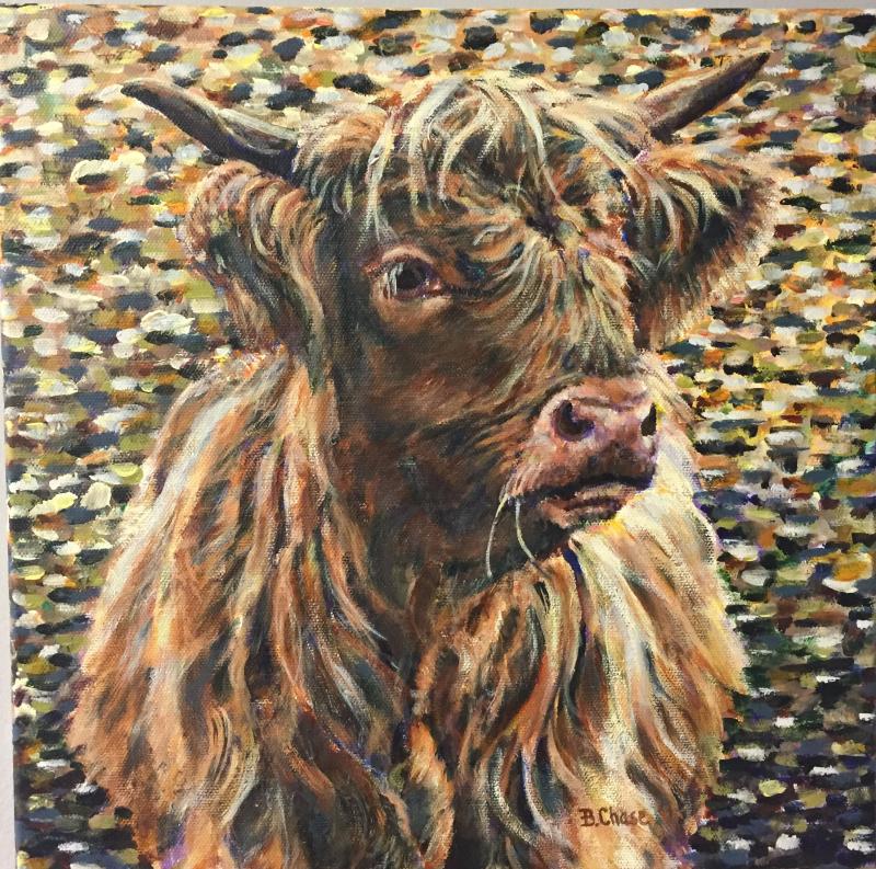 “Highland Cow,” by Barbara Chase.