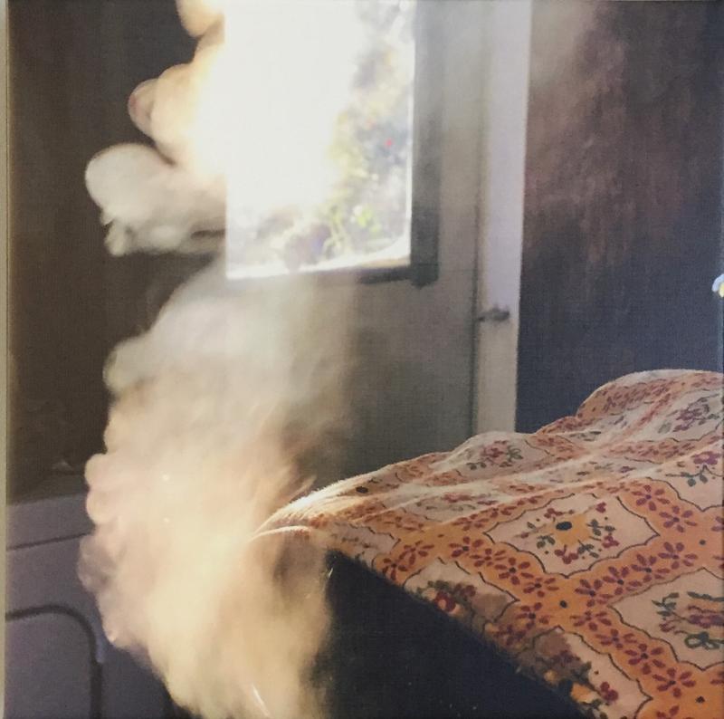 “Steam From the Canning Pot” - photograph - Cally Peaco.