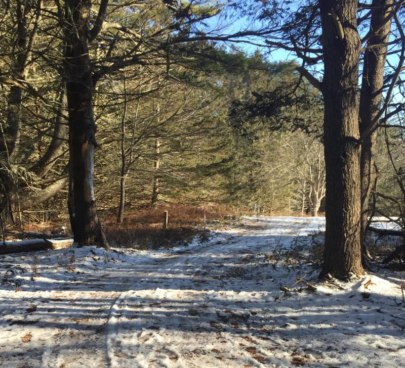 Get on it! LISA KRISTOFF/Boothbay Register