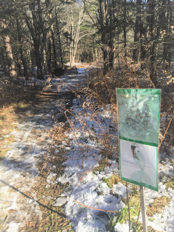 Page 3 on the trail. LISA KRISTOFF/Boothbay Register