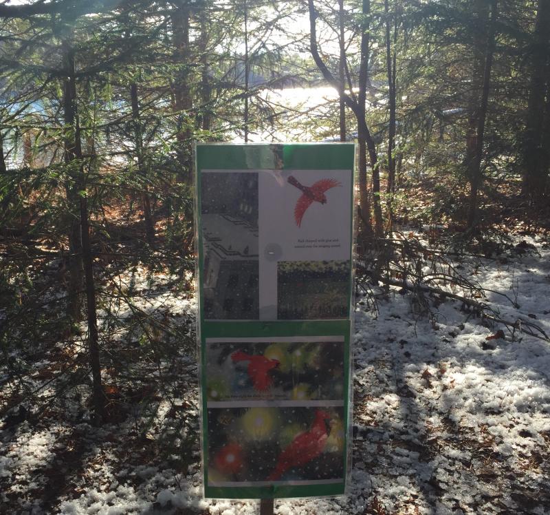 Page 8 along Townsend Gut. LISA KRISTOFF/Boothbay Register