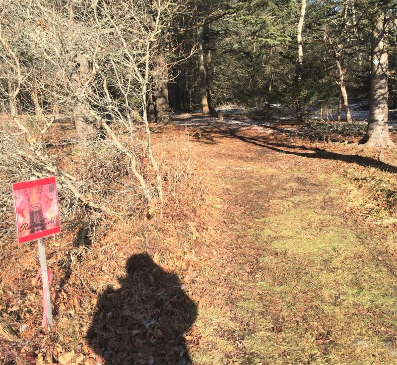 The start of the trail as seen from the Oak Point Farm parking lot. LISA KRISTOFF/Boothbay Register