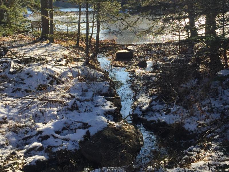 Scenic near the end of the trail. LISA KRISTOFF/Boothbay Register