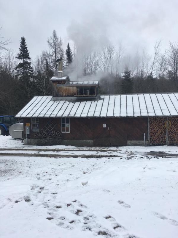 Stop in to see the Wilson family on their farm in Albion for some maple-flavored delights! Facebook photo