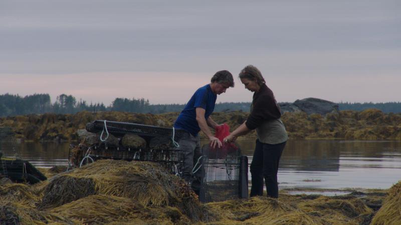 Toni Small and her partner John Cotton working on their oyster farm in Port Clyde. Courtesy of Maine Aquaculture Association/GoodFight Media