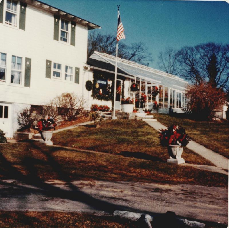 A scene at Boothbay Region Greenhouses in 1970. Courtesy photo