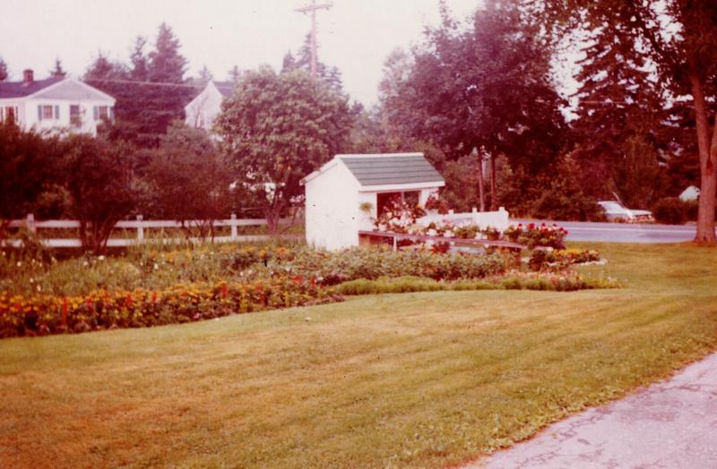 A scene at Boothbay Region Greenhouses in 1971. Courtesy photo