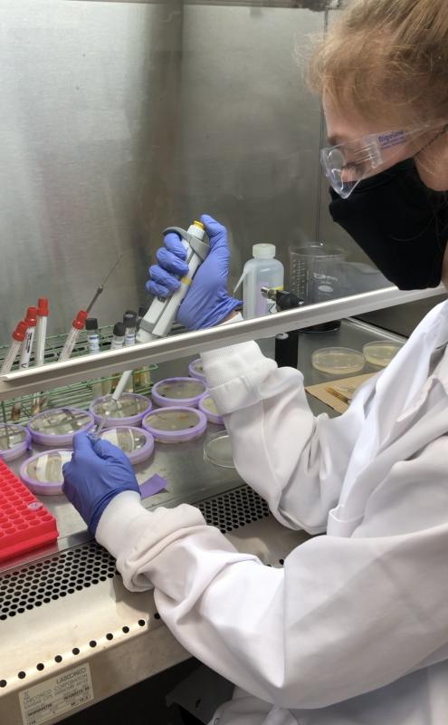 High school scientist Emma Markowitz will represent Maine in the Regeneron International Science and Engineering Fair this May. Courtesy photo