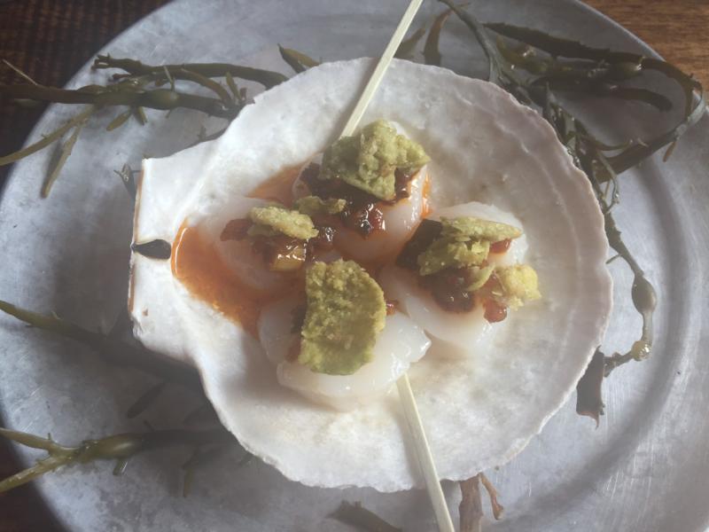 Scallop sashimi is an absolute dream of a dish, brought to you by Brother Shucker. LISA KRISTOFF/Boothbay Register