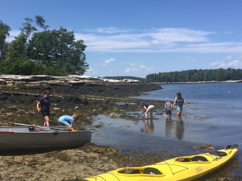 The search for baby crabs and lobsters ... LISA KRISTOFF/Boothbay Register