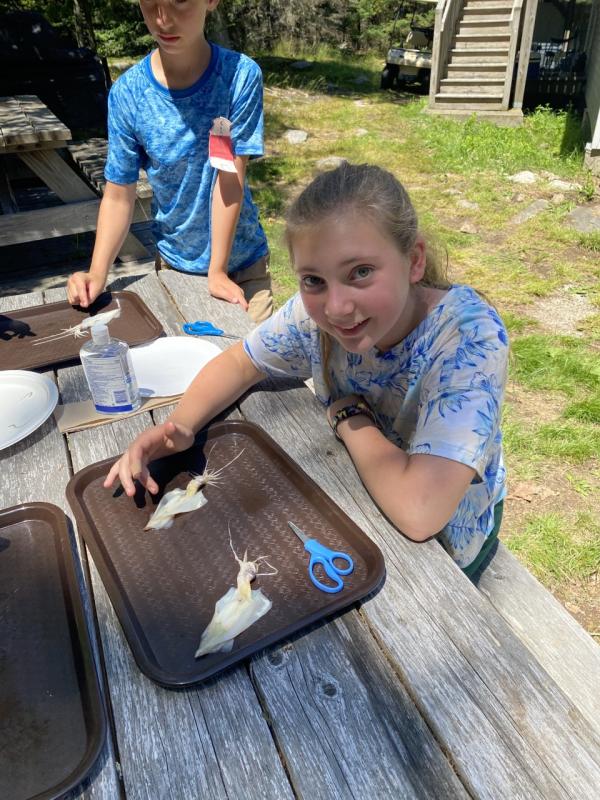 Yikes! It’s squid dissection time. Courtesy of Jennifer Lassen