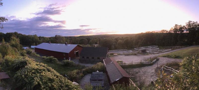 Burke’s island Farm, home to Charlie and Friends Second Stride Rescue in Boothbay. Courtesy of Burke’s Island Farm