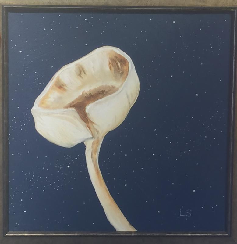 Lynne Seitzer - Mushroom series - You have to see these in person, not via iPhone! Lynne Seitzer