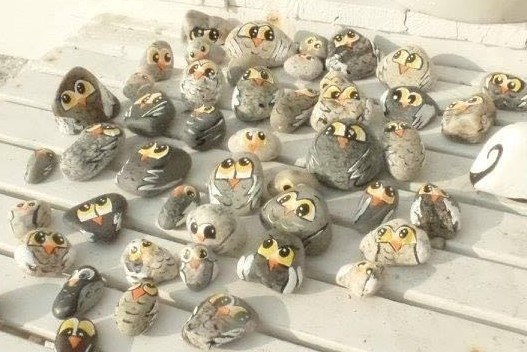 Owls! Courtesy of Mari McGuire