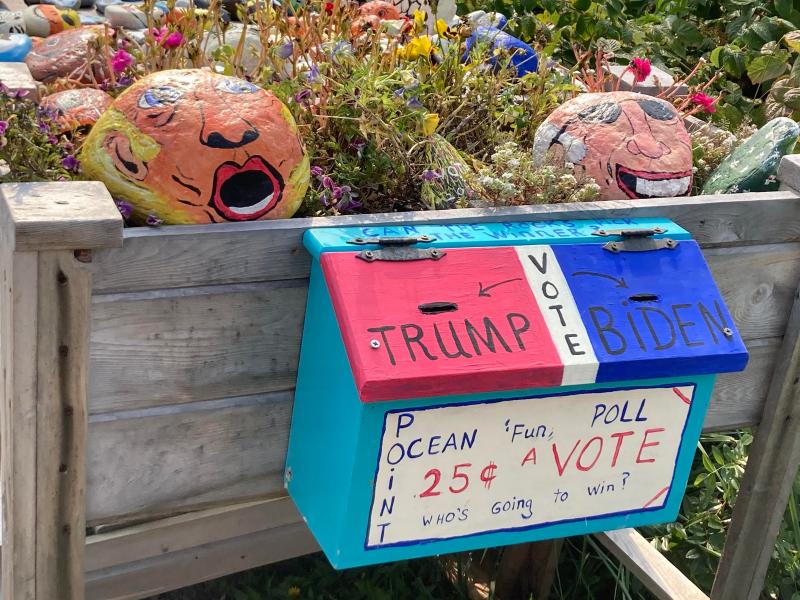 The Biden-Trump polling rock station, just for fun. Courtesy of Mari McGuire