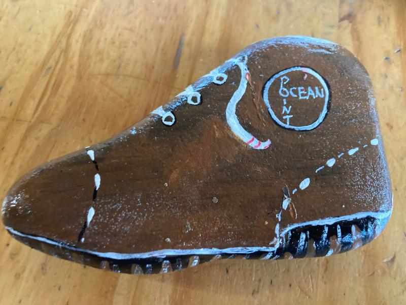 The perfect OP walking shoe. Courtesy of Mari McGuire